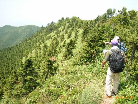 img_170472_5710612_2.jpg