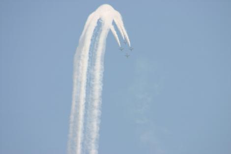 img_170472_7047534_2.jpg