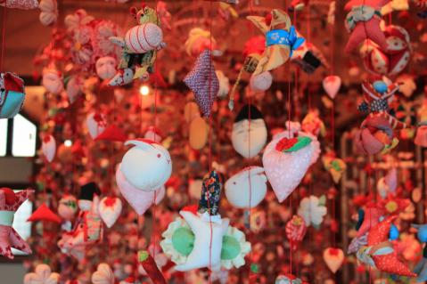 IMG_7744 (800x533)