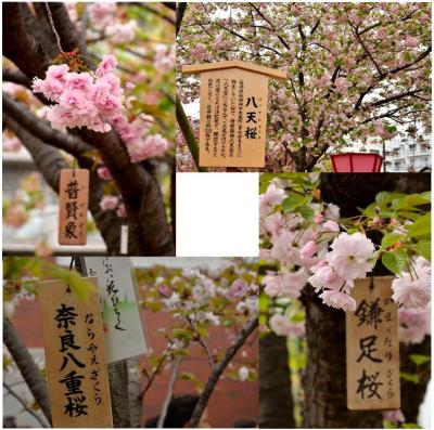 画像2