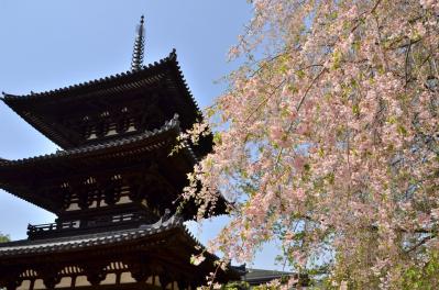 名残の桜