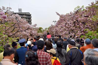 D7S_9000.jpg