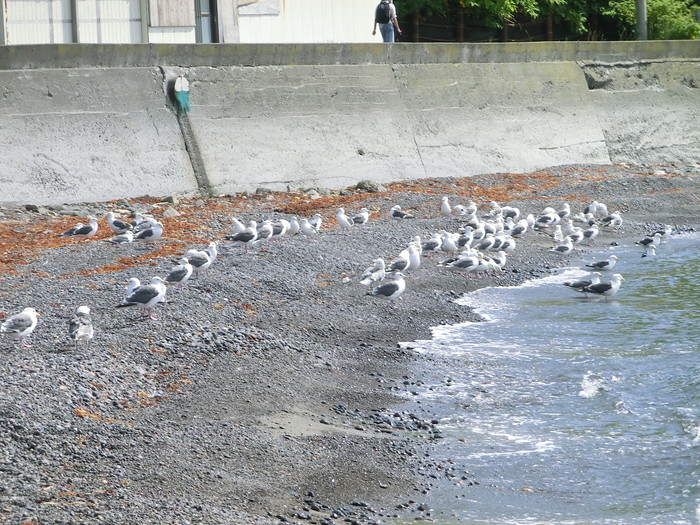 20120807桃岩 (3)