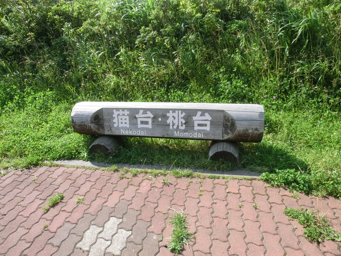 20120807桃岩 (18)