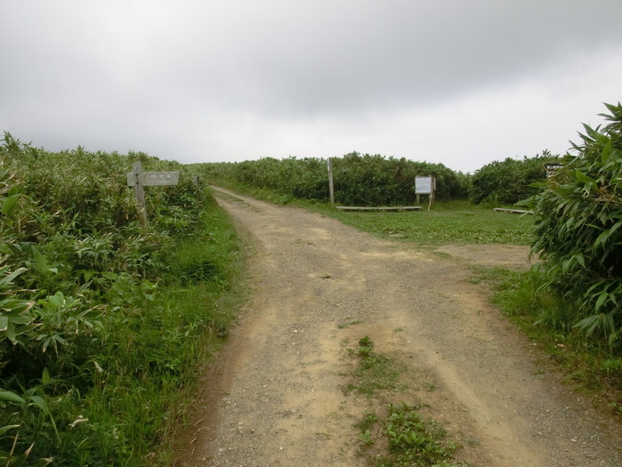 礼文林道 (21)
