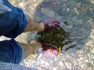 IMG_20130522_112751_convert_20130527182538.jpg