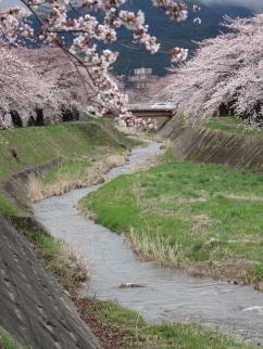 IMG_4594bulog.jpg