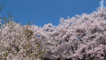 IMG_4632bulog.jpg