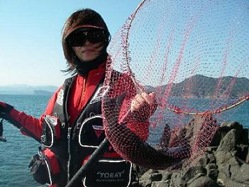 南のヨーコさん