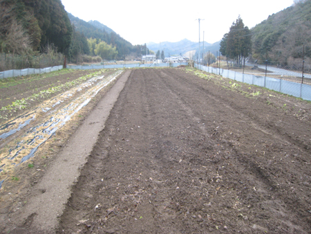 kita120306-after.jpg