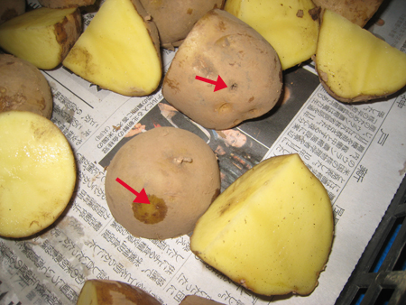 kitame_syuusei.jpg