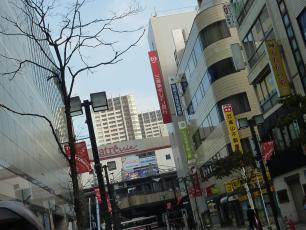 11.10.09 いつか天魔の黒ウサギ 009