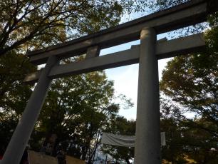 11.11.01 君と僕。 003