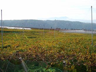 DSC01084ブログ