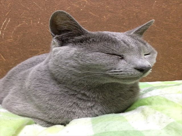 うみ3_R