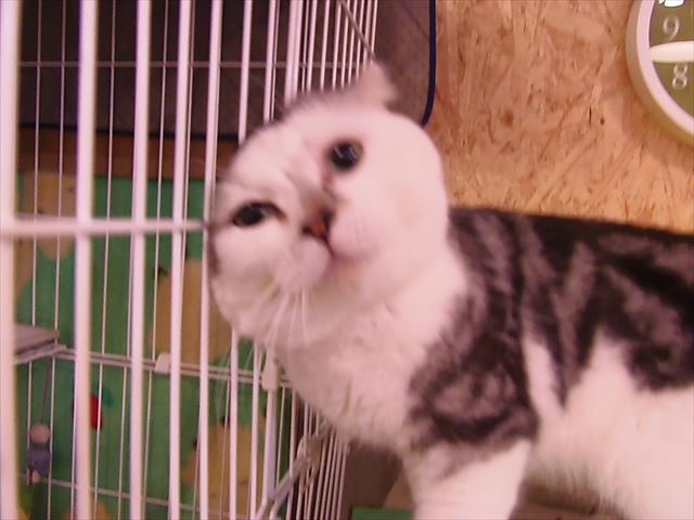 PC120351_R.jpg