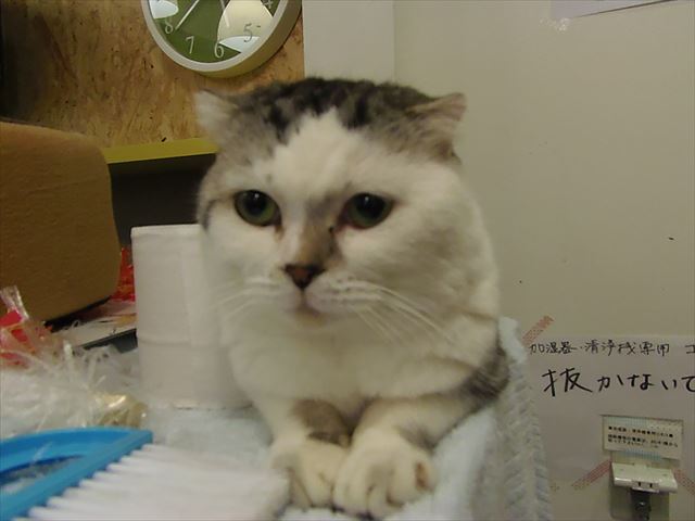 PC120363_R.jpg
