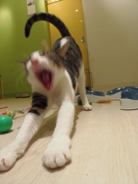 PC170493_R.jpg