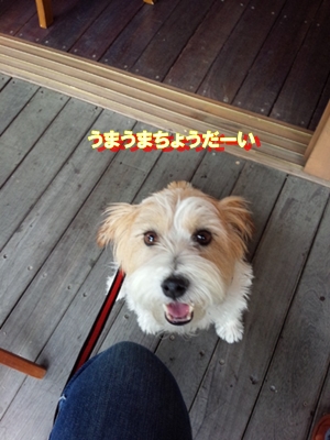 HANさんにて