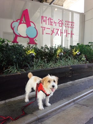 阿佐ヶ谷アニメストリートにて