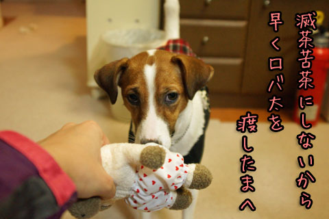 シオン滅茶苦茶DSC01825
