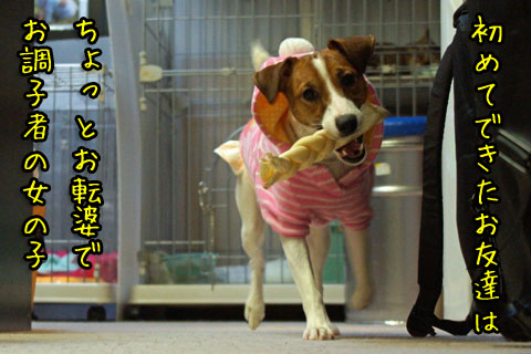 初めてのお友達2013 12 14_6319