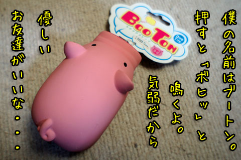 ブートンDSC08071
