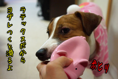 ラテックス2013 12 14_6285