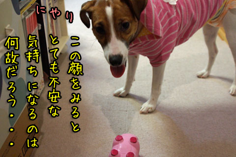 シオンにやり2013 12 14_6268