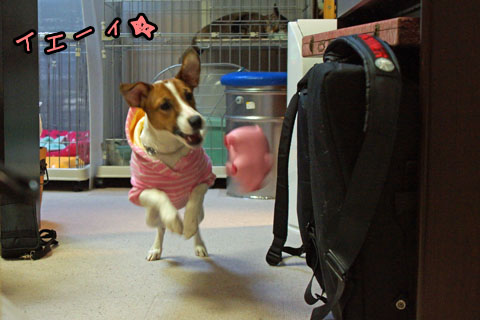 イエーィ2013 12 14_6296