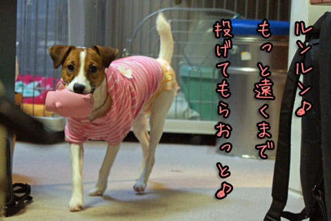 ルンルン2013 12 14_6293