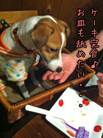 シオン完食IMG_4577