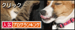 人気ブログランキングバナー1