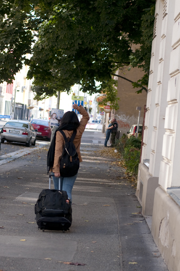 DSC_1212.jpg