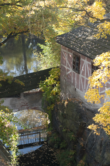 DSC_1453.jpg