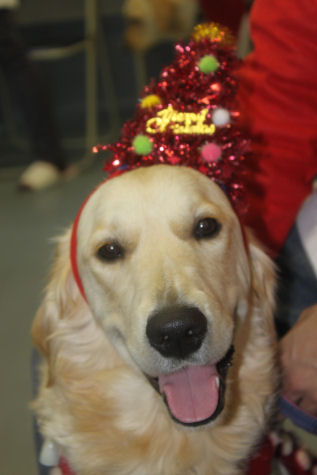 20131215jua.jpg