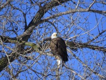 IMG_3115.jpg