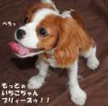おまけ1