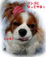 わるリンゴ