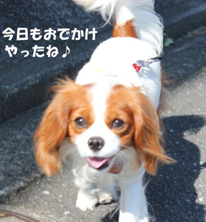 おでかけ