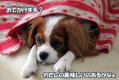 おまけ1