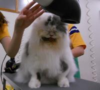 201202091604.jpg