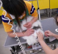 201202091605.jpg