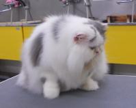 201202091607.jpg