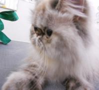 DSCN8315.jpg