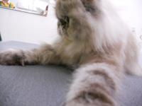 DSCN8317.jpg