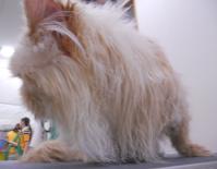 DSCN8620.jpg