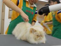 DSCN8625.jpg