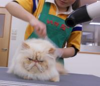 DSCN8626.jpg