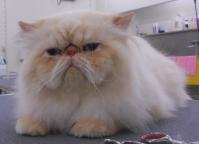 DSCN8638.jpg